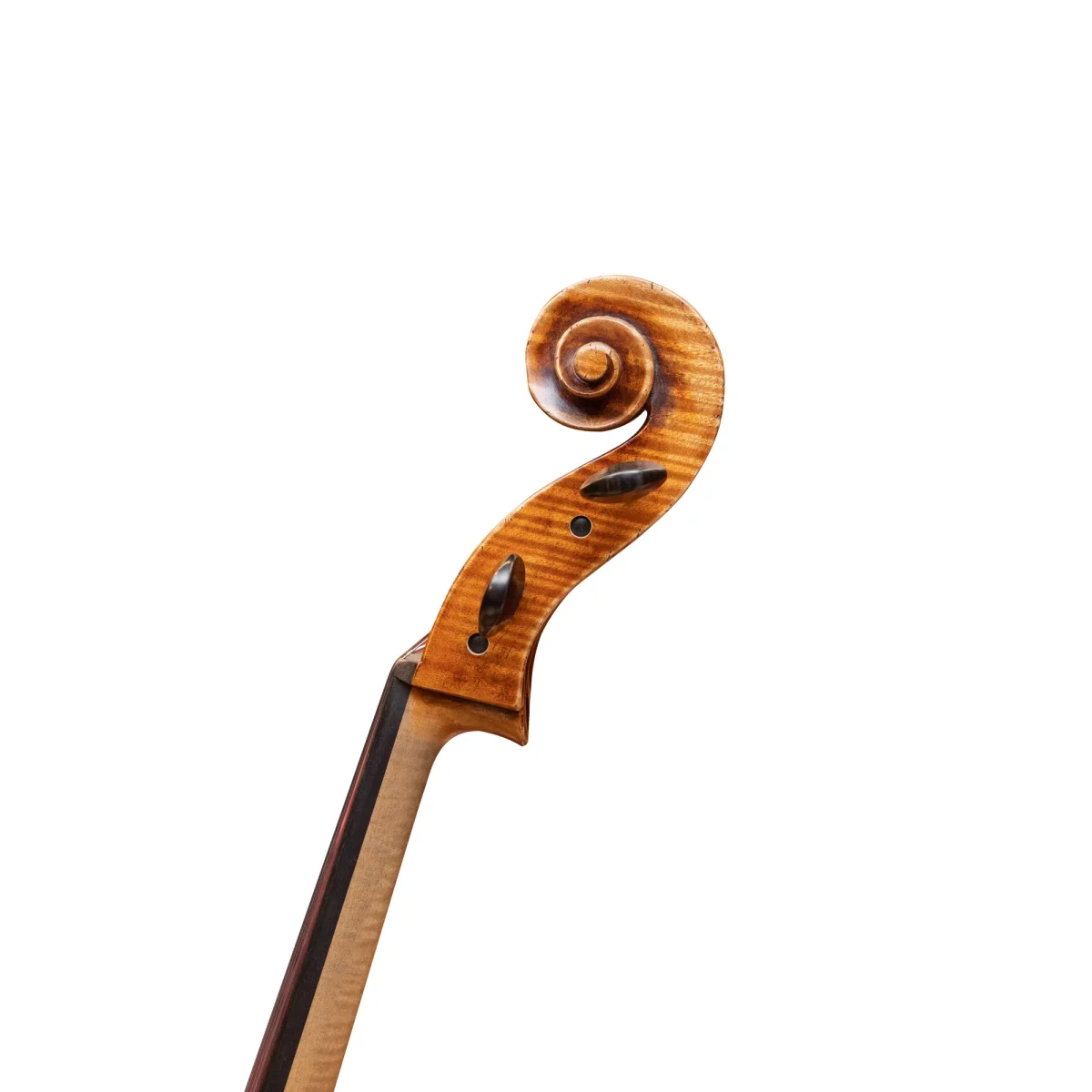 Rainer W. Leonhardt 大提琴 #335