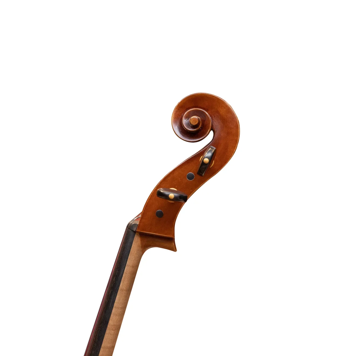 Peter Siegfried Heffler 大提琴 #800