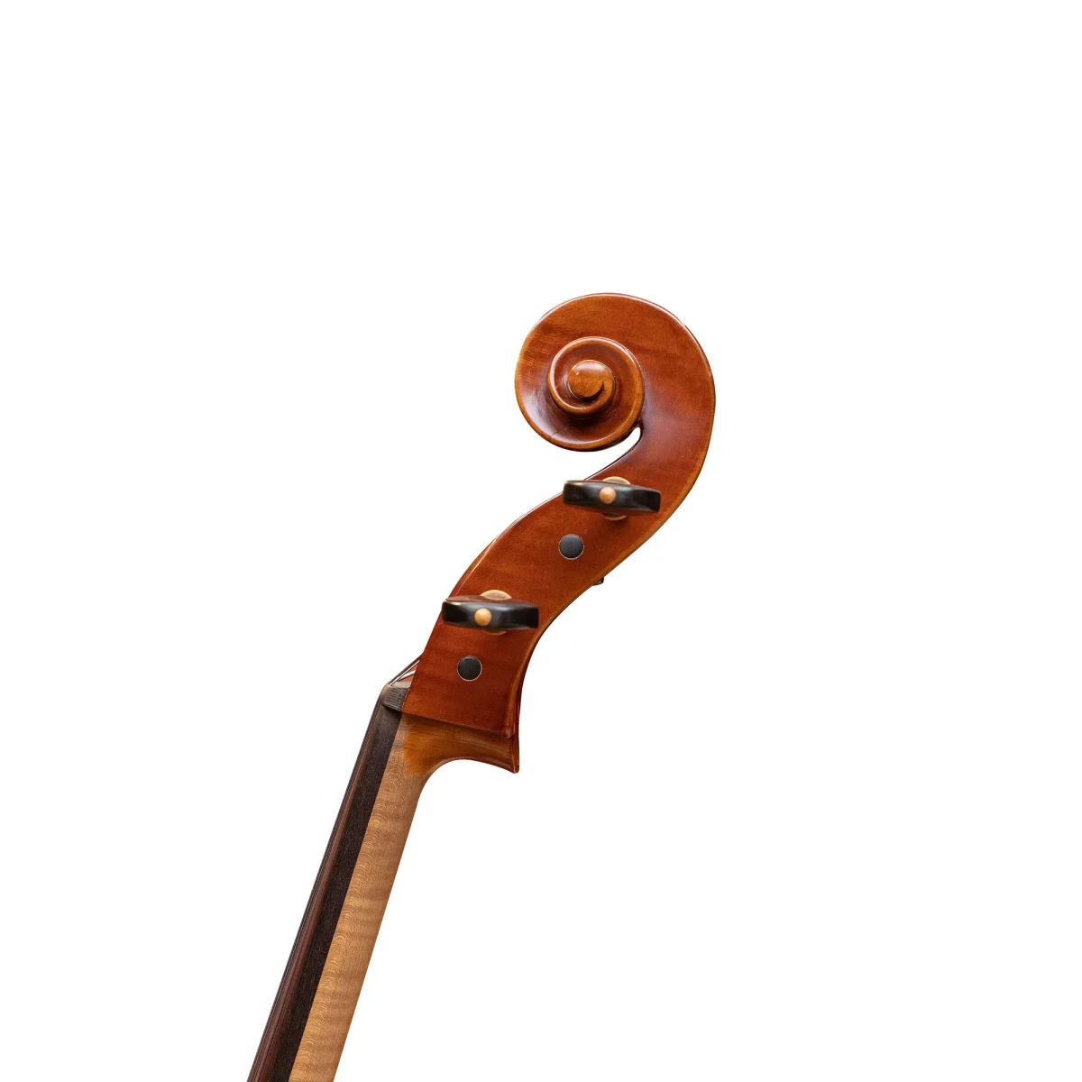 Rainer W. Leonhardt 大提琴 #325