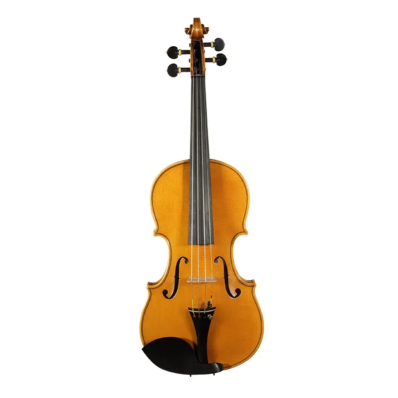 David Lien 中提琴 #Orchestra