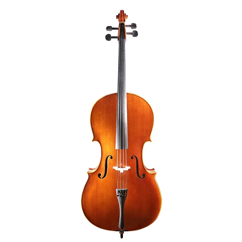 LienViolins 大提琴 VC#250