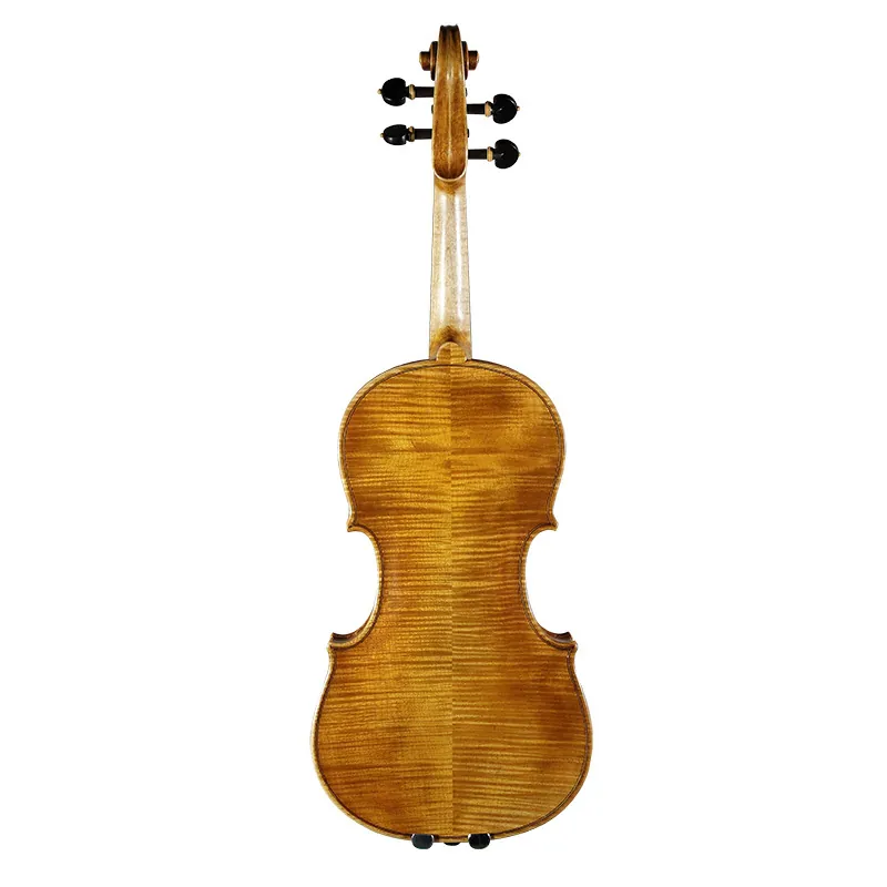 David Lien 小提琴 #ConcertMaster