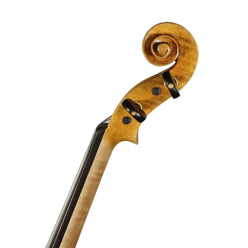 David Lien 小提琴 #ConcertMaster