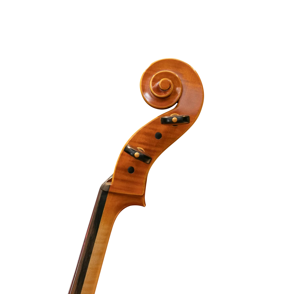 David Lien 大提琴 #Soloist