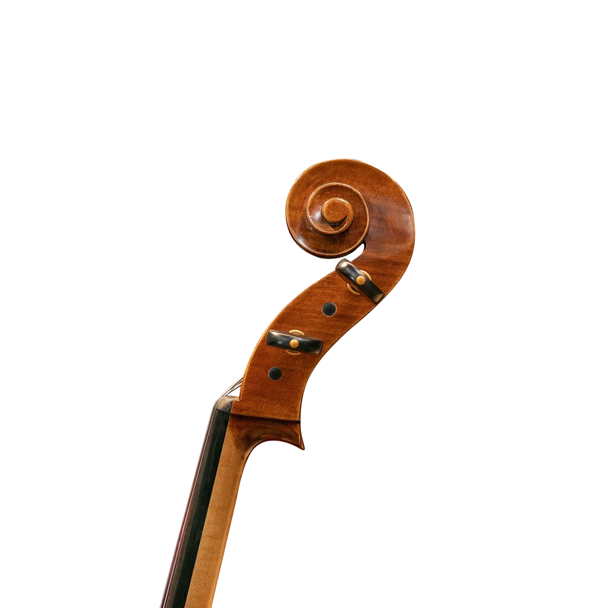 David Lien 大提琴 #ConcertMaster
