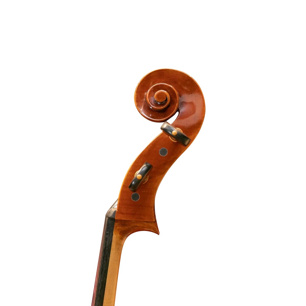 David Lien 大提琴 #Orchestra